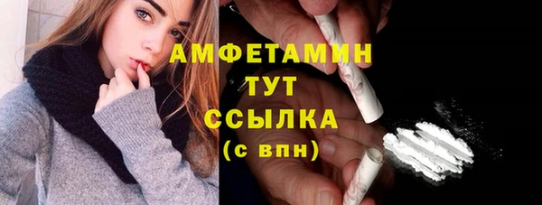 гидра Верхний Тагил