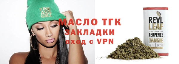 гидра Верхний Тагил