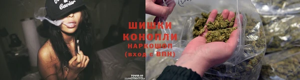 гидра Верхний Тагил