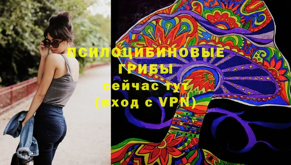 гидра Верхний Тагил